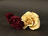 roses0004.gif